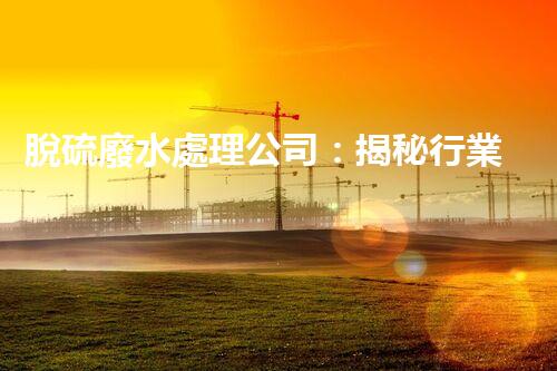 脫硫廢水處理公司：揭秘行業(yè)內(nèi)幕與以后趨勢？